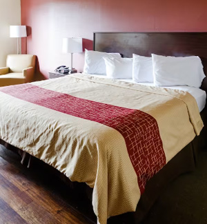  Red roof plus Standard Room